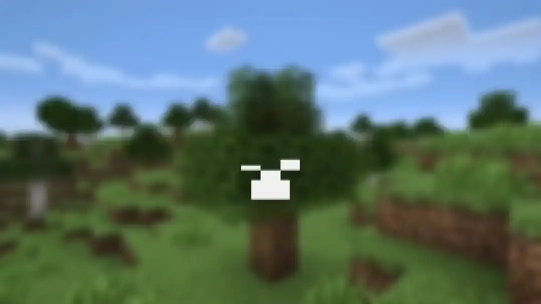 Fundo branco